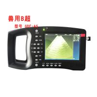 ʵBGDF-A5BǮ