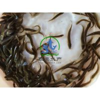泥鳅苗批发，供应正宗的台湾泥鳅苗全程养殖技术指导。