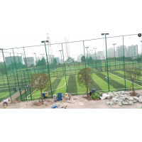 重庆比赛标准型足球场HQ-0221型人工草坪，山东“泰山”牌草丝，草长50mm