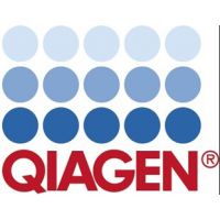 QIAGEN Plasmid Kits (25) QIAGEN 12123