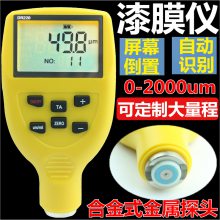 DR230铁铝两用型涂层测厚仪 镀锌铬油漆膜喷塑料厚度测量仪膜厚仪