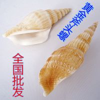 天然海螺贝壳田园风格摆件创意礼品小斧头热卖货源 ***批发