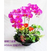 H60cm߷湤Ʒ 廨 ߷廨