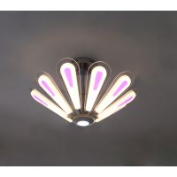 ledƾ߳ ´