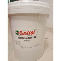 Castrol SafeCoat DW 10/18X/21X/30X/ʵˮͷ