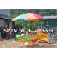 永嘉县桥下镇小小玩家游乐设备厂