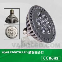 miniLEDֲͥ LEDܵ LEDũʵ PAR ҹӦ
