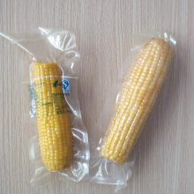 㹲Ĥ