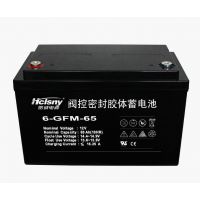 ɽר 12V65AH̫·ơأ