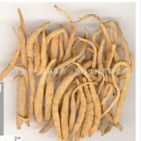 香港EMS国际快递保健品/食品/药品/液体/粉末/出口到泰国