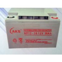 ¹¿12V100AH AKSNP12-100 upsרõƿ 