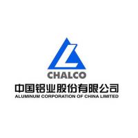 中铝山东有限公司