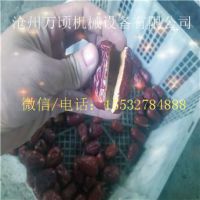 沧州巨胜机械设备有限公司