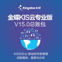 KISרҵV15.0˰ ˹ERP