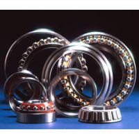 ṩ63000-2RS1
