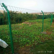 生态园围栏网 农家乐隔离栅 种植场双边丝护栏网
