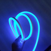 深圳厂家直销2835-120-N 霓虹灯条220V/110V，绿/蓝/红