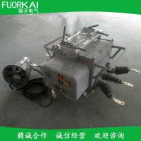 ZW20-12ն·͸ѹֽ翪