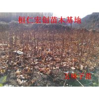 ζ硿ζС硿ζ۸