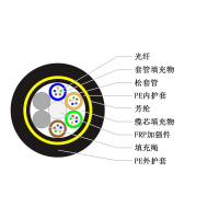 ADSS-24B1-100/200³24оADSSԳʽֻ***