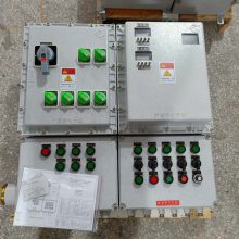 BQC61-T20防爆三层升降控制箱厂家 防爆控制升降配电箱型号非标 防爆控制箱尺寸