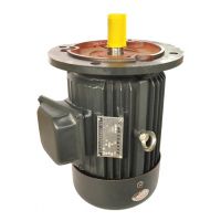 ӦYϵ첽綯 ƺHXG132S2-2(7.5KW)ȫͭߵ