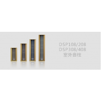 ʿ DSPPA DSP308 DSP408  ˮ 㲥ϵͳ ϵͳ 㲥