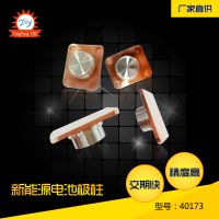 缫 Դ40173 í ͵缫ӹ