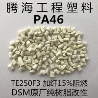 ںPA4615%ȼ/ȡDSM/TE250F3