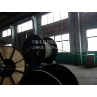 Ӧ³½YJV0.6/1KV4*2.5+1*1.5