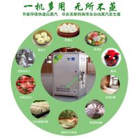 美斯特(在线咨询)_长治蒸汽发生器_蒸汽发生器 工业