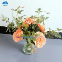 ˫ݽˮȫԶ佺豸 滨ˮེ
