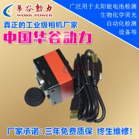 ȶƼ޹˾WP-UT2600