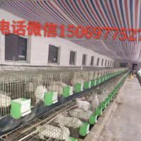 菏泽市牡丹区志宣养殖有限公司
