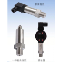 RPP20经济型压力变送器