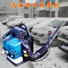 道路庭院清理吹尘机 富兴小区公园专吹雪机 多功能草坪吹叶机型号价格