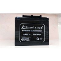 ɿ6-FM-100/12V100AHʽά