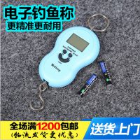 电子钓鱼称 手提葫芦称 垂钓用品渔具配件 称鱼器 渔具鱼竿批发