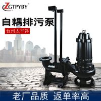 2Сͼ380v޶ʽǱˮˮþǱˮ