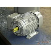 AC-MOTOREN FCA 132M-4/HE-***