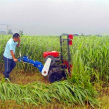 水稻收割机 割油葵杆的机器 艾草收割机视频