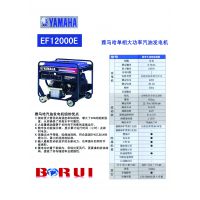 EF12000E 8.5KW˫ͷ