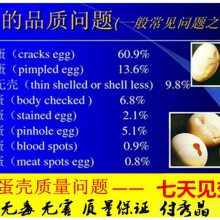 怎么提高老母鸡鸡蛋品质改善蛋壳颜色