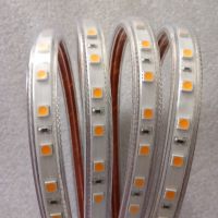 ڳֱ5050 60Ƹѹƴ220V/110V