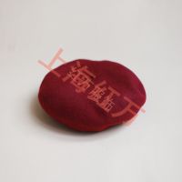 Ϻ Ӧ ֿʽñӿɼlogo