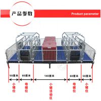 母猪产床双体猪料槽保温箱电热板定位栏仔猪分娩床母猪猪产床 养猪设备 山东佰牧兴