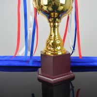 金属奖杯 大连供应篮球、足球比赛奖杯定制 DIY免费刻字定做