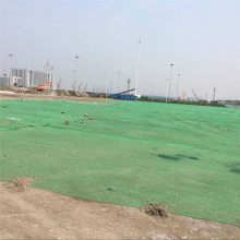 建筑工地盖土网 防尘盖土网定做 密目网1500目