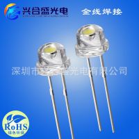 ñ׹LED ledf5ñ