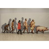 3Dֻǽ
